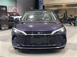 بي واي دي كوين L DM-i